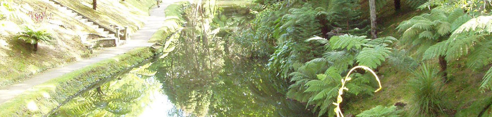 Natur p Azorerna