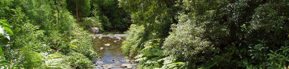 Naturskn milj p Azorerna